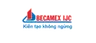 Becamex IJC- Công ty Cổ phần Phát triển Hạ tầng Kỹ thuật